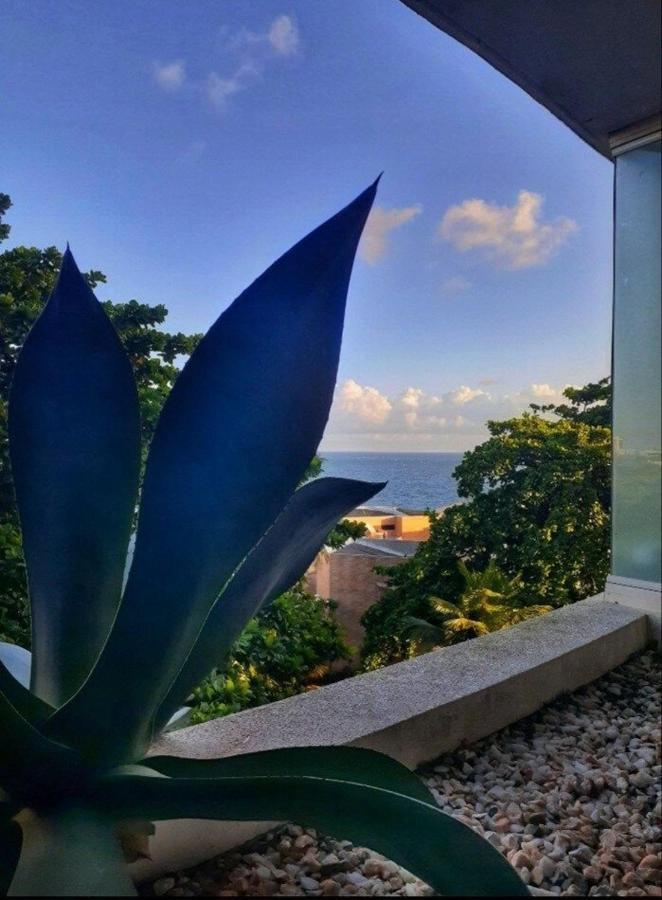 Studio Encantador Em Ondina Salvador Exteriér fotografie